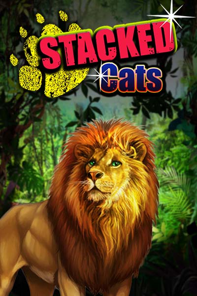 Stacked Cats?height=600